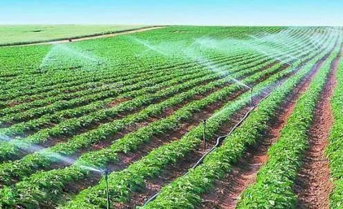 美女们干B农田高 效节水灌溉